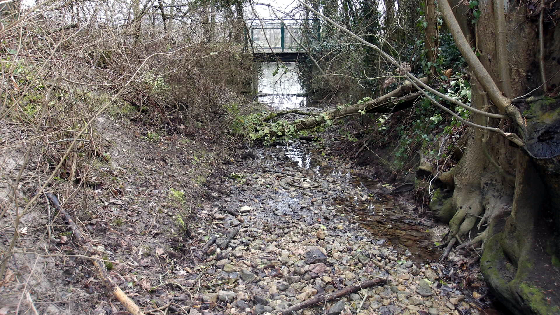 Vue du chenal, vers la Marne, avec au fond un petit pont. Photo AFLO - 02/2026