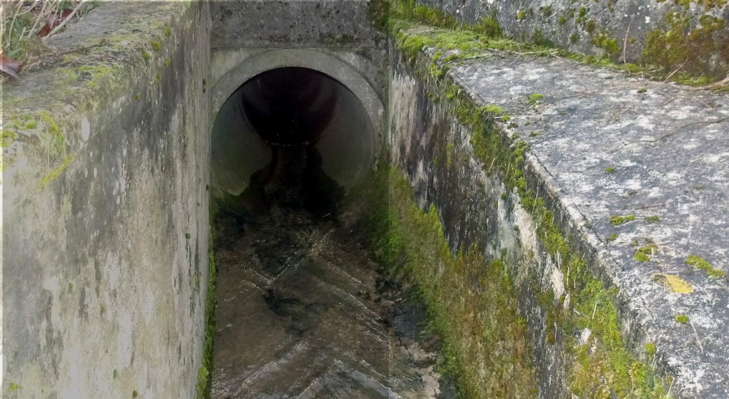 Ocquerre — Entrée de la buse d'avaloir