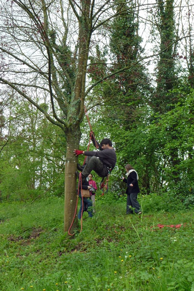 Mise en place de l'écuroduc de Villers-les-Rigault. - Photo B. Vavasseur