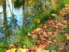 Claye-Souilly - Oct. 2018