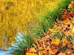 Claye-Souilly - Oct. 2018