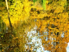 Claye-Souilly - Oct. 2018