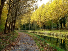 Claye-Souilly - Oct. 2018