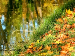 Claye-Souilly - Oct. 2018