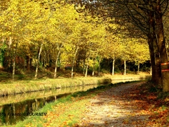 Claye-Souilly - Oct. 2018