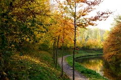Le canal de l'Ourcq en automne à Villeparisis
photo © Daniel BERNAL / AFLO 11/2017