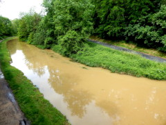 Villeparisis - Juin 2021