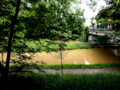 Villeparisis - Juin 2021