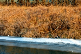 Congis-sur-Thérouanne<br>
Villers-les-Rigault