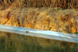 Congis-sur-Thérouanne<br>
Villers-les-Rigault