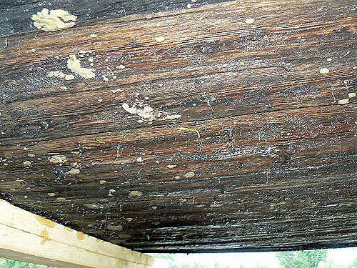 Vue de dessous : le fond en bois